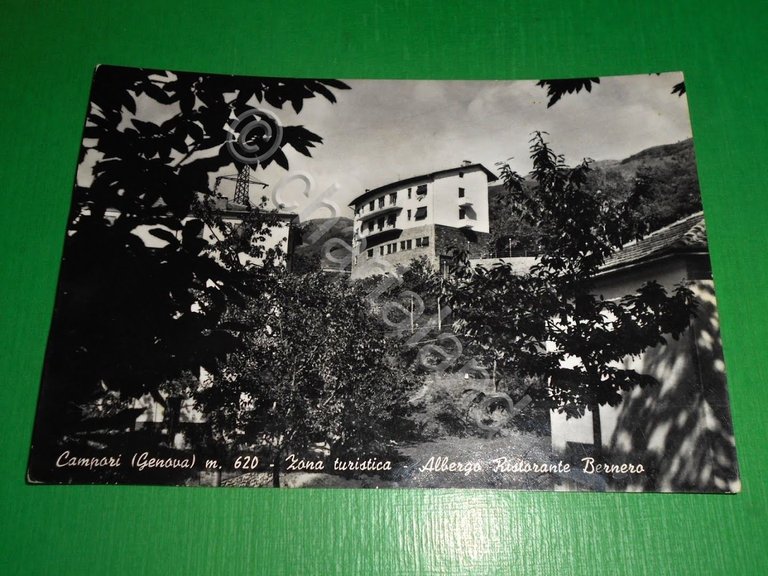 Cartolina Campori ( Genova ) - Albergo Ristorante Bernero 1955 …
