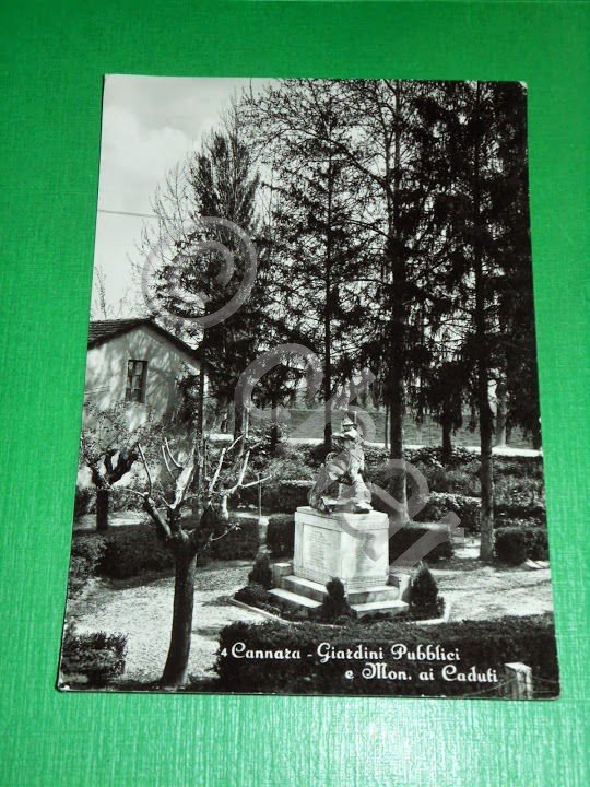 Cartolina Cannara - Giardini Pubblici e Monumento ai Caduti 1956