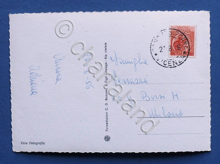 Cartolina Canove - Panorama - 1956.