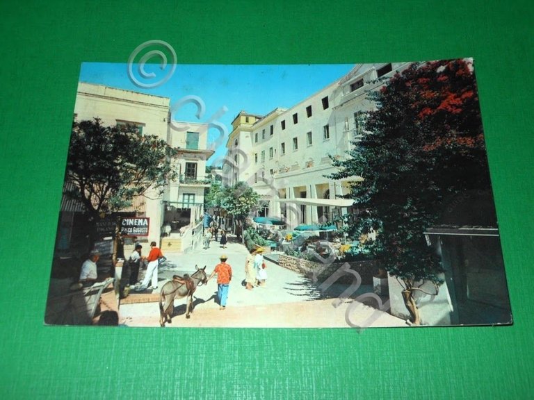 Cartolina Capri - Hotel Quisisana e Via Camerelle 1966