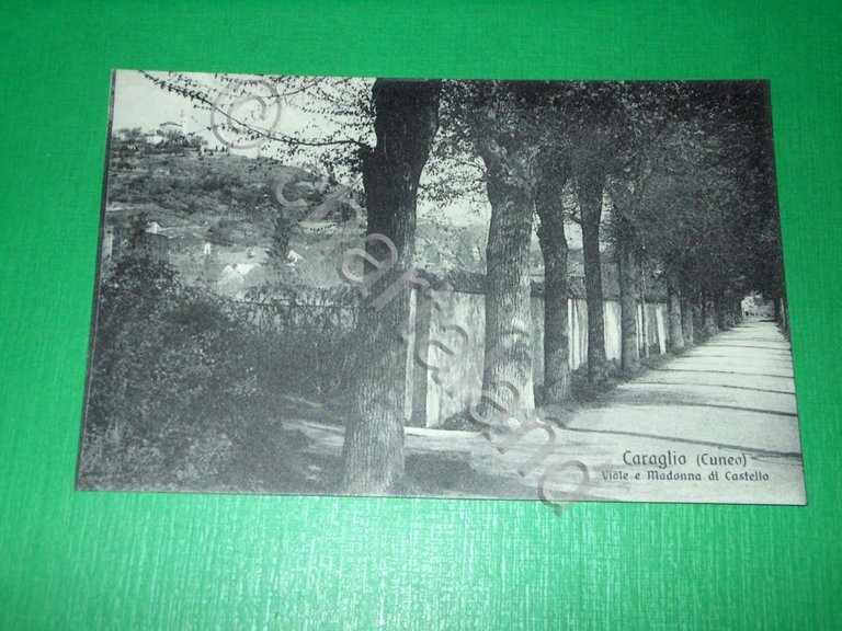 Cartolina Caraglio ( Cuneo ) - Viale e Madonna di … | Immagine Gallery 2
