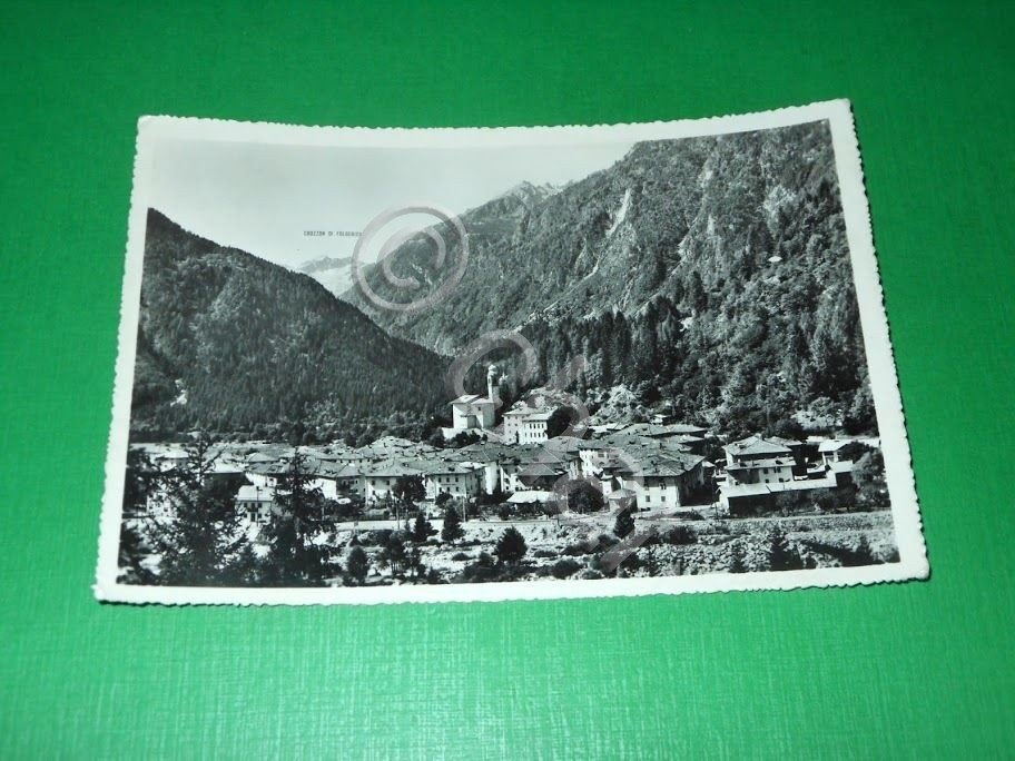 Cartolina Carisolo verso la Val di Genova ( Trento ) …