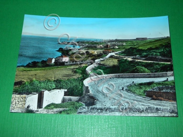 Cartolina Carloforte - Panorama Campagne Canal Fondo 1963