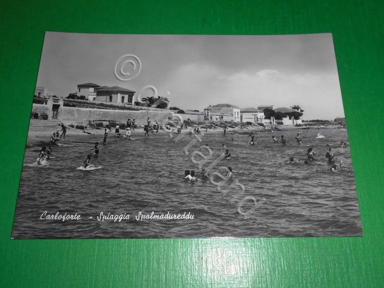 Cartolina Carloforte - Spiaggia Spalmadureddu 1955 ca.
