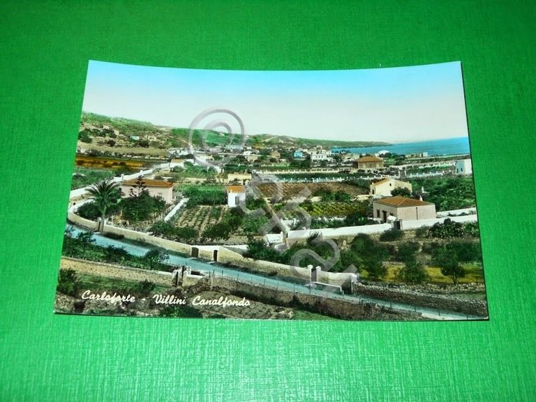 Cartolina Carloforte - Villini Canalfondo 1960 ca