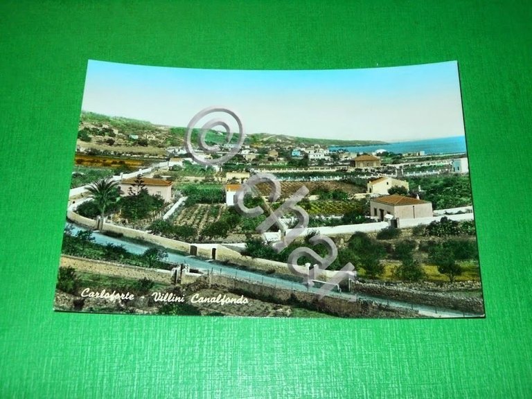 Cartolina Carloforte - Villini Canalfondo 1960 ca