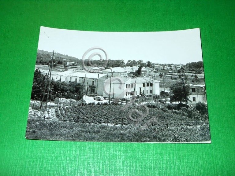 Cartolina Carlopoli - Scorcio panoramico 1955 ca.