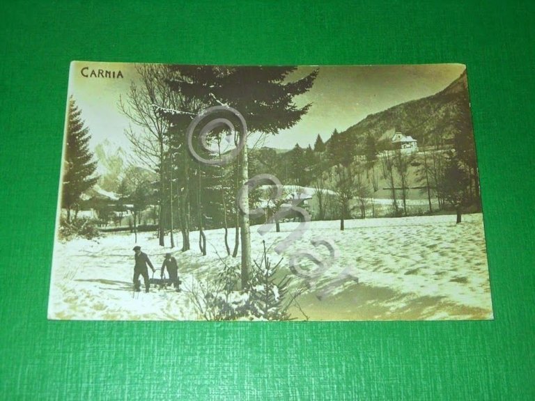 Cartolina Carnia ( Udine ) - Paesaggio invernale 1915 ca