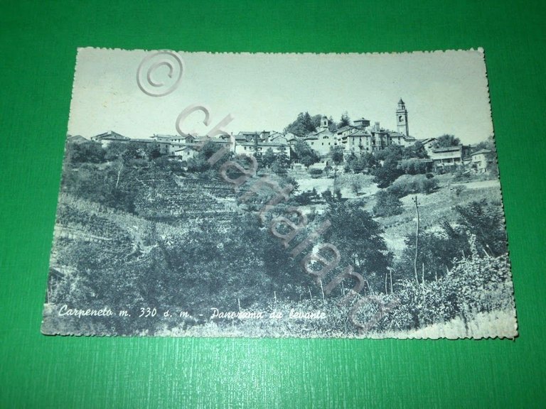 Cartolina Carpeneto - Panorama da levante 1960