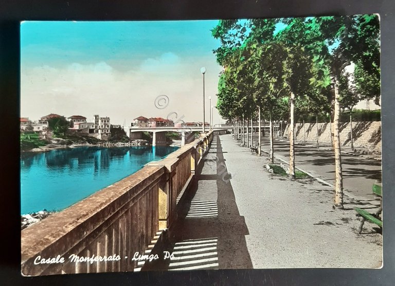 Cartolina Casale Monferrato - Lungo Po - 1956