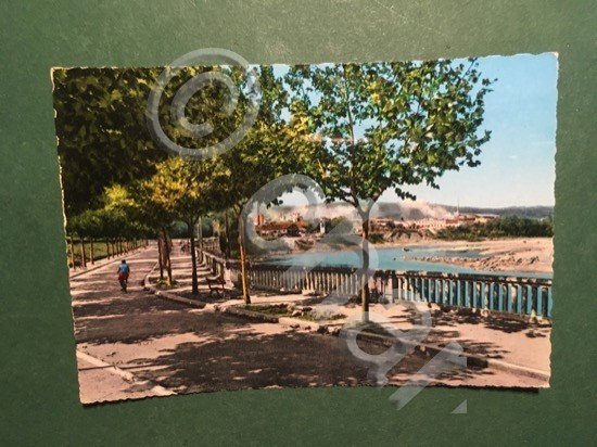 Cartolina Casale Monferrato - Lungo Po - 1965