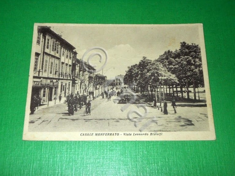 Cartolina Casale Monferrato - Viale Leonardo Bistolfi 1950