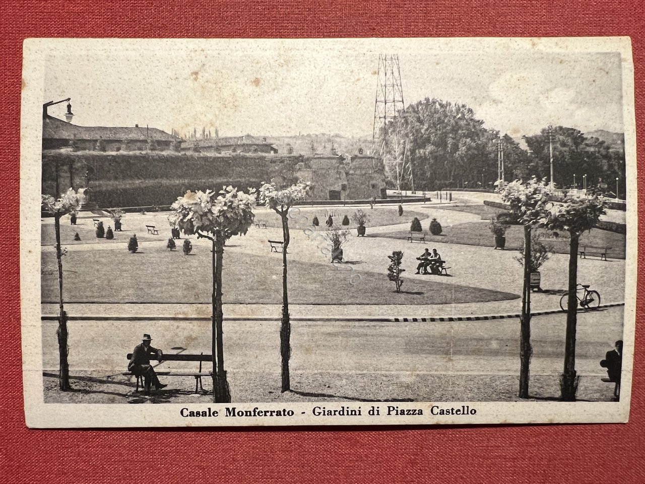Cartolina Casale Monferrato ( Alessandria ) - Giardini di Piazza …