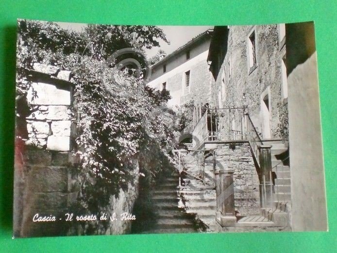 Cartolina Cascia - Il roseto di S. Rita - 1957