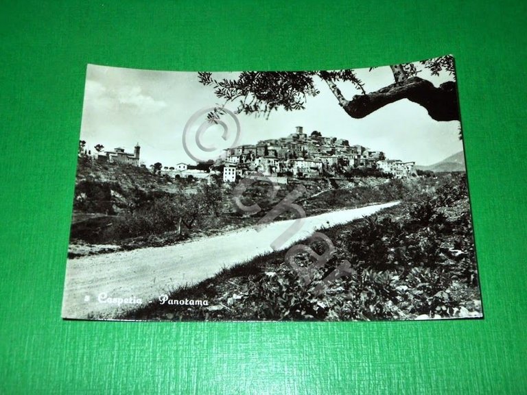 Cartolina Casperia - Panorama 1956