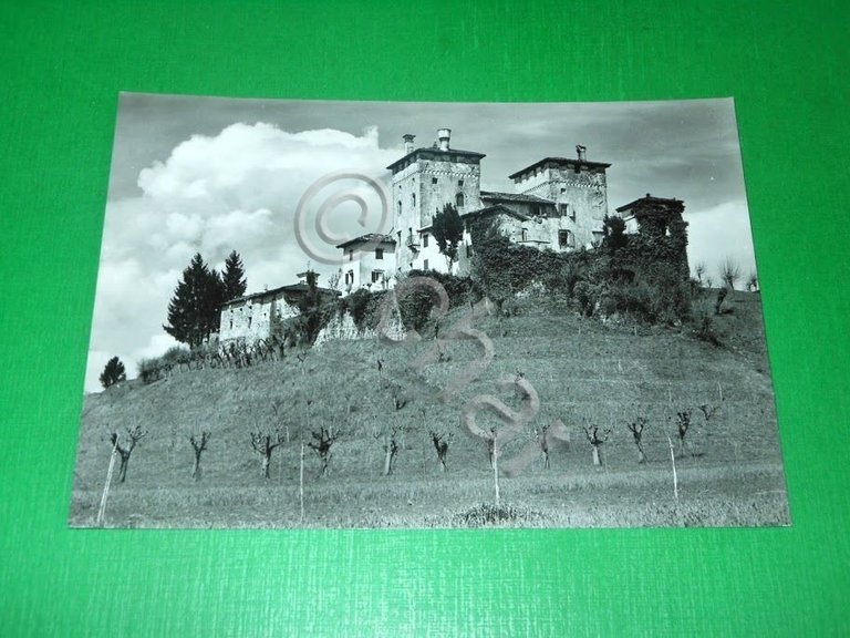Cartolina Cassacco ( Udine ) - Il Castello 1960 ca