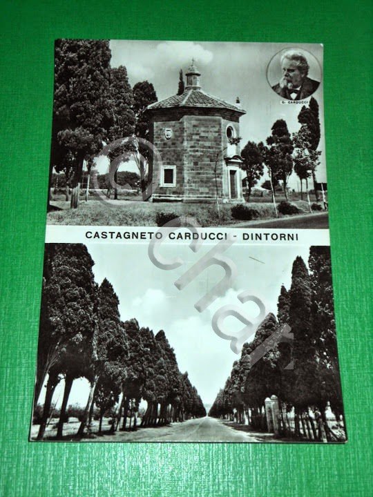 Cartolina Castagneto Carducci - Dintorni 1959 | Immagine Gallery 2