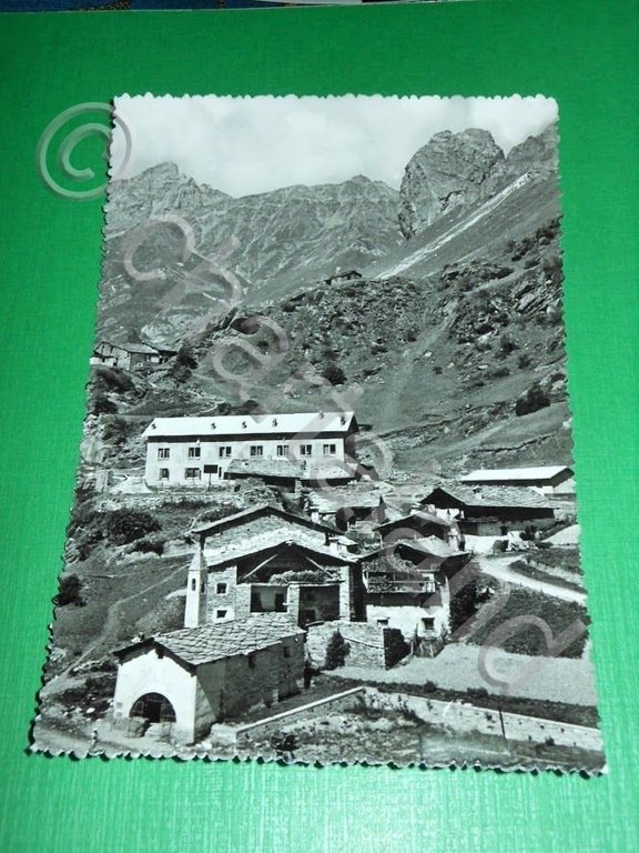 Cartolina Casteldelfino ( Cuneo ) - Casa per ferie Excelsior …