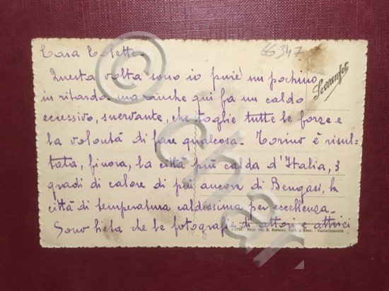 Cartolina Castellamonte - Panorama Visto da Ponente - 1920 ca.