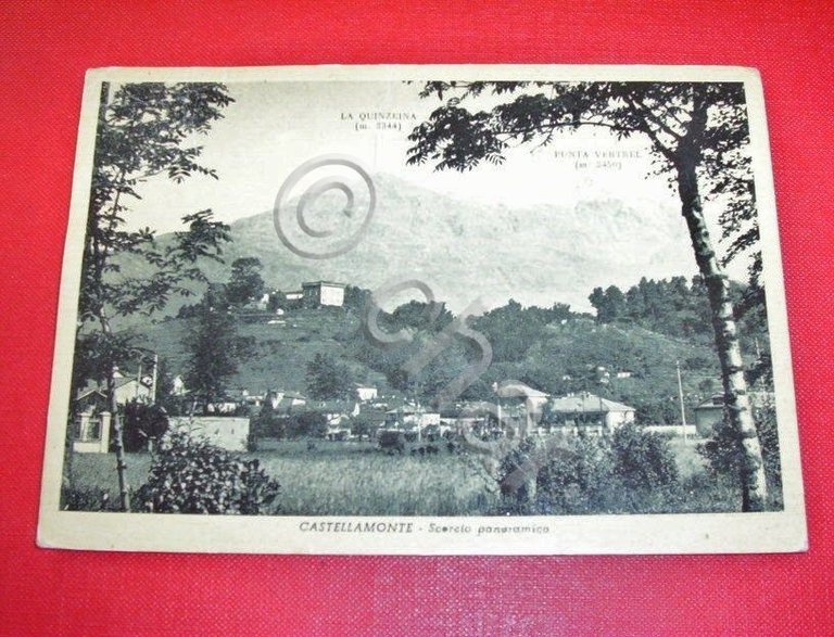 Cartolina Castellamonte ( Torino ) - Panorama 1950 ca