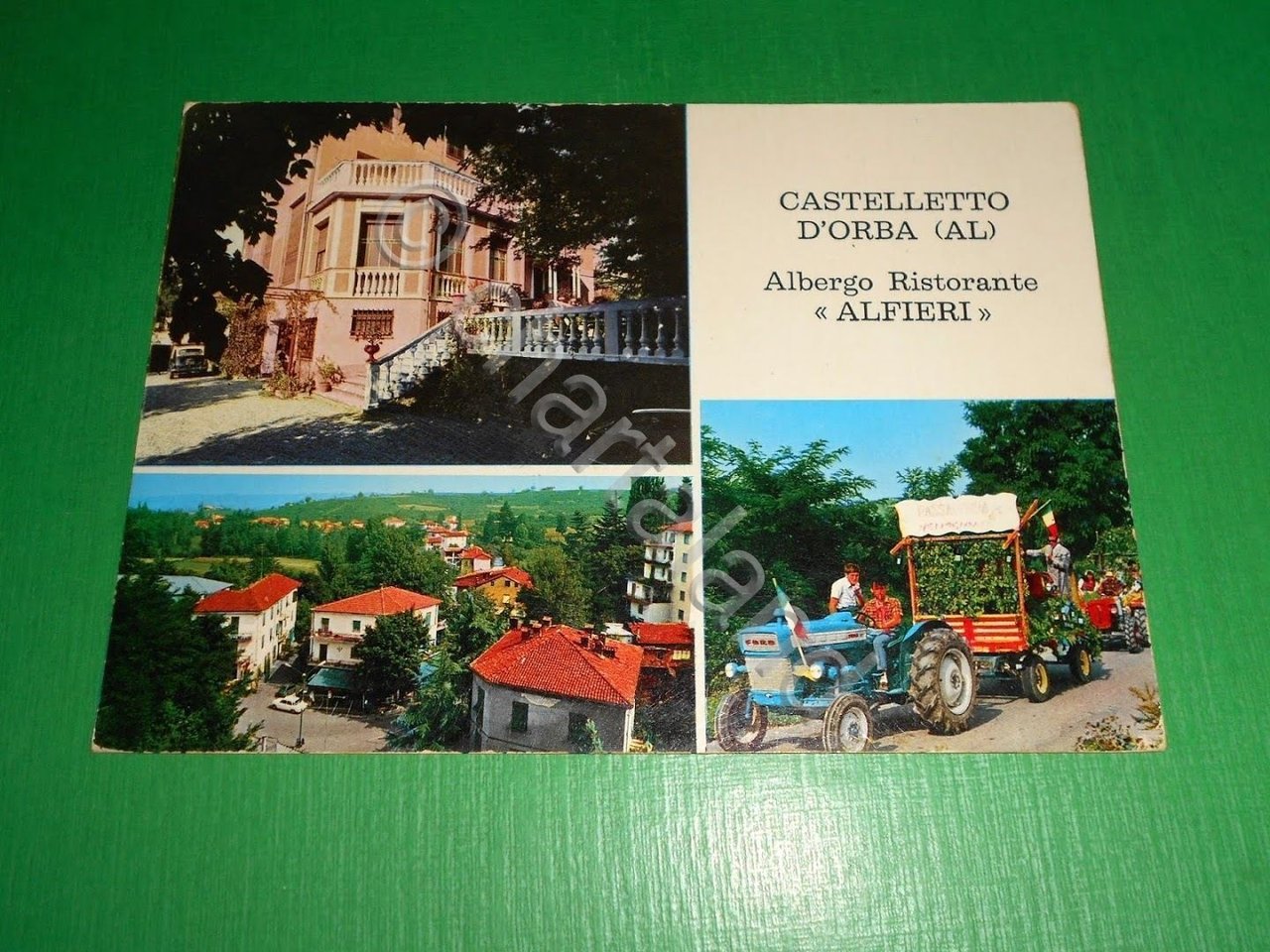 Cartolina Castelletto d'Orba - Albergo Ristorante Alfieri 1971.