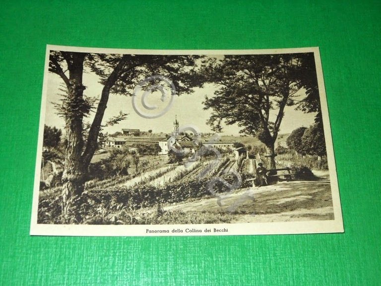 Cartolina Castelnuovo Don Bosco - Panorama della Collina dei Becchi … | Immagine Gallery 2