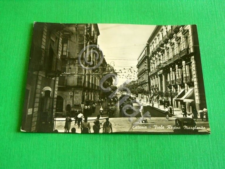 Cartolina Catania - Viale Regina Margherita 1952.