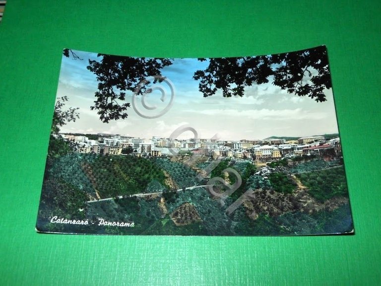 Cartolina Catanzaro - Panorama 1957