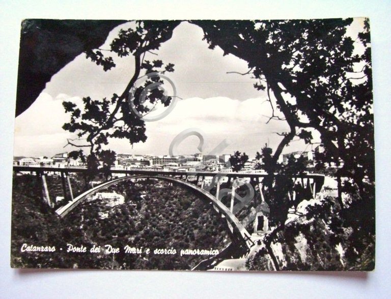 Cartolina Catanzaro - Ponte Due Mari e panorama 1957