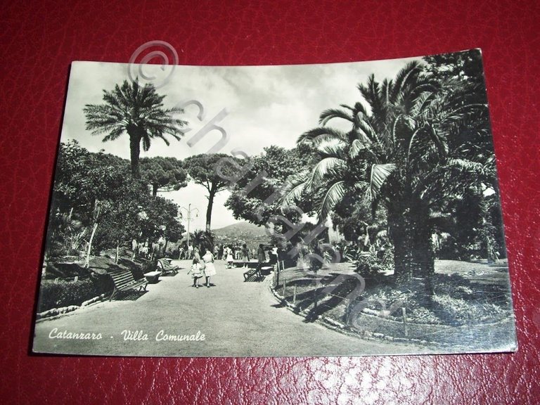 Cartolina Catanzaro - Villa Comunale 1955 ca