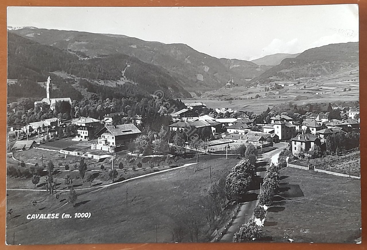 Cartolina Cavalese - 1954 | Immagine principale