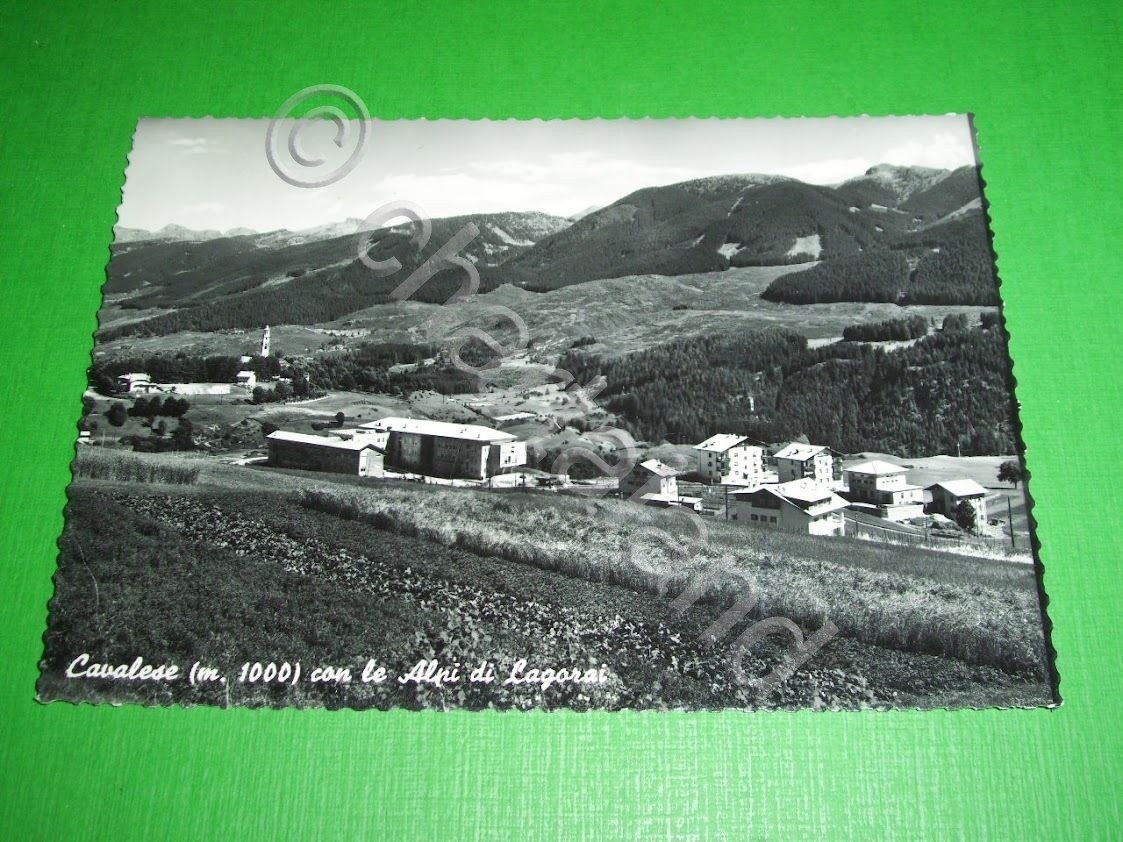 Cartolina Cavalese - Panorama con le Alpi di Lagorai 1960.