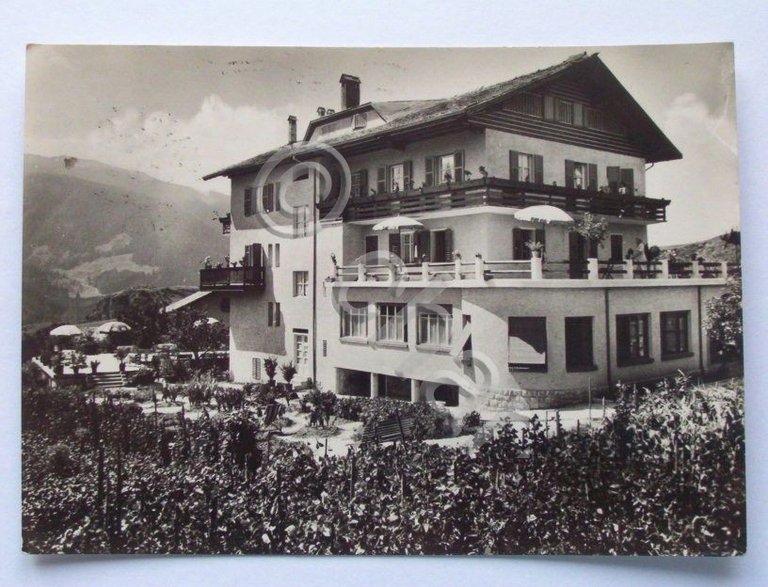 Cartolina Cavalese ( Trento ) - Albergo Azalea 1957