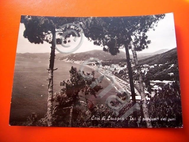 Cartolina Cavi di Lavagna - Panorama generale 1973.