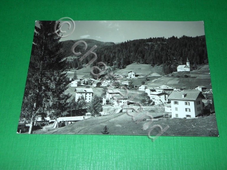 Cartolina Caviola ( Agordino ) - Panorama 1960