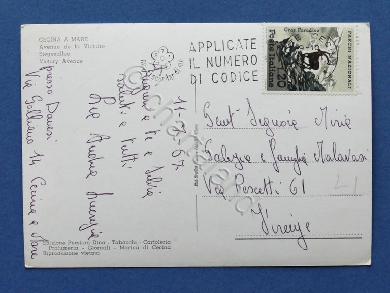 Cartolina Cecina a Mare - Viale della Vittoria - 1967.