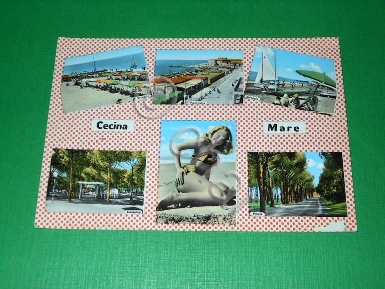 Cartolina Cecina Mare - Vedute diverse 1960 ca