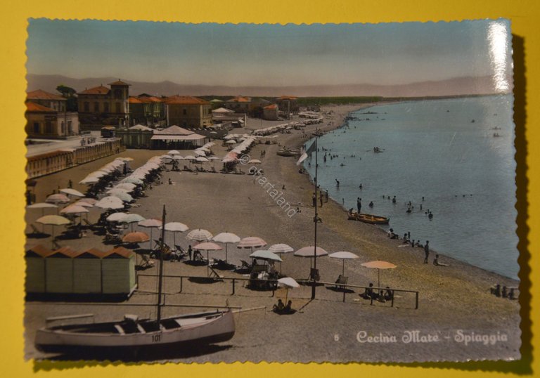 Cartolina Cecina Mare Spiaggia 1950