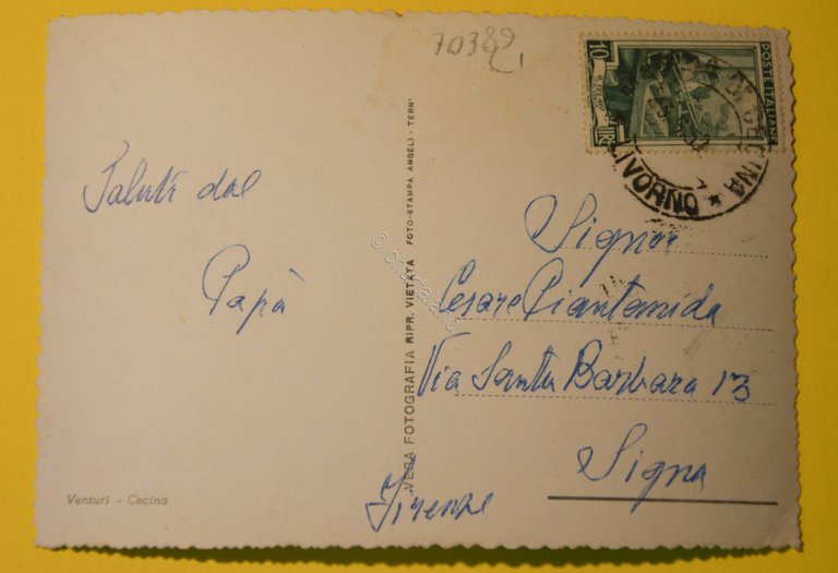 Cartolina Cecina Mare Spiaggia 1950