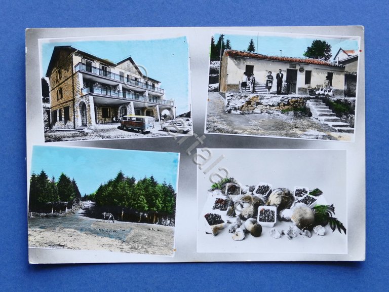 Cartolina Ceppo di Rocca S. Maria - Albergo Ristorante Julia …