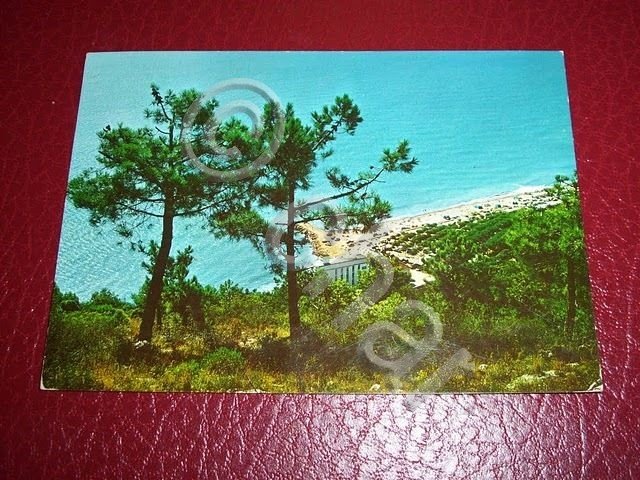 Cartolina Ceriale - Camping Comunale 1970 ca