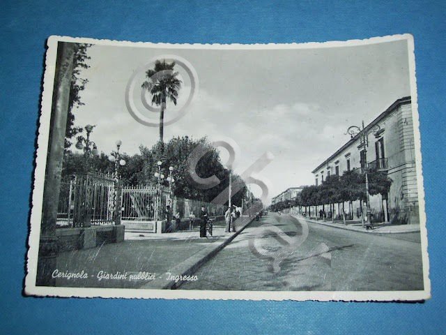 Cartolina Cerignola - Giardini pubblici 1954.