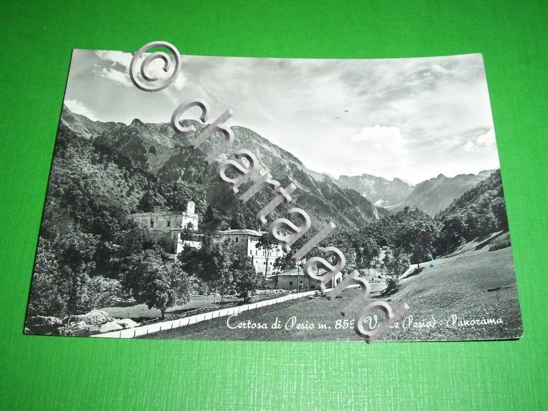 Cartolina Certosa di Pesio ( Valle Pesio ) - Panorama …