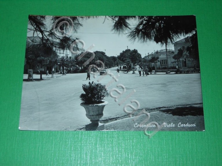 Cartolina Cesenatico -- Viale Carducci -- 1957 | Immagine Gallery 2