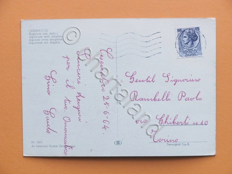 Cartolina Cesenatico - Acquario con delfini - 1964 | Immagine Gallery 4