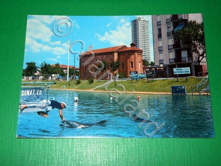 Cartolina Cesenatico - Aquario - La colazione ai delfini 1968.