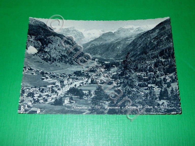 Cartolina Champoluc - Panorama e Catena del Rosa 1950 ca