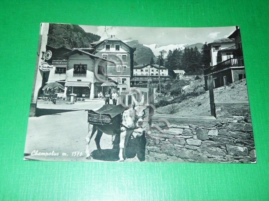 Cartolina Champoluc - Particolare del paese 1954.