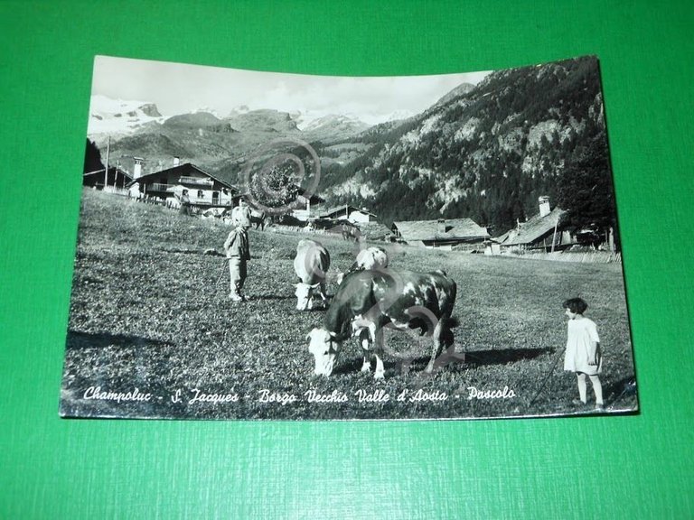 Cartolina Champoluc - S. Jacques - Borgo Vecchio Valle d'Aosta … | Immagine Gallery 2