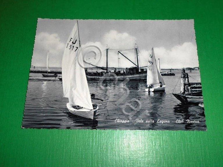 Cartolina Chioggia - Vele sulla Laguna - Club Nautico 1955 …
